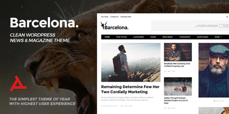 Best WordPress Themes