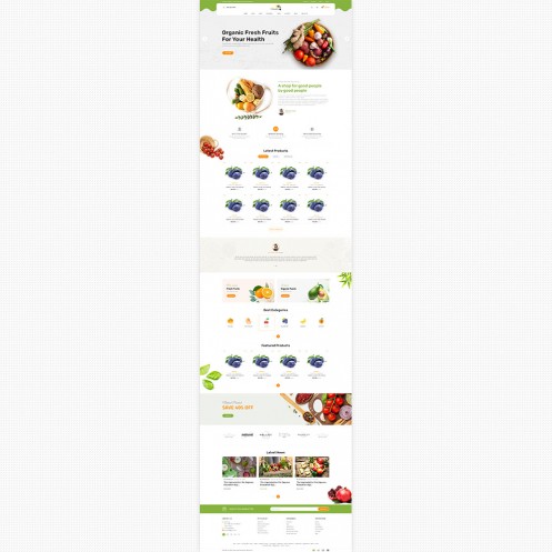 Orgenic food  Store PSD Template
